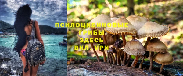 крисы Сосновый Бор